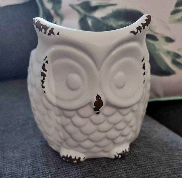 Understanding the Owl