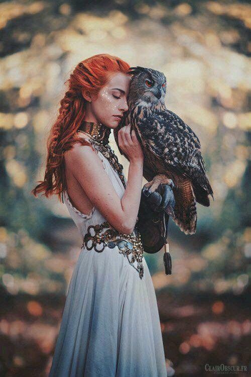 Understanding the Owl