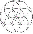 Introducing the Flower of Life