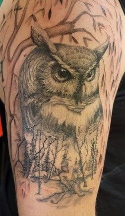 Understanding the Owl