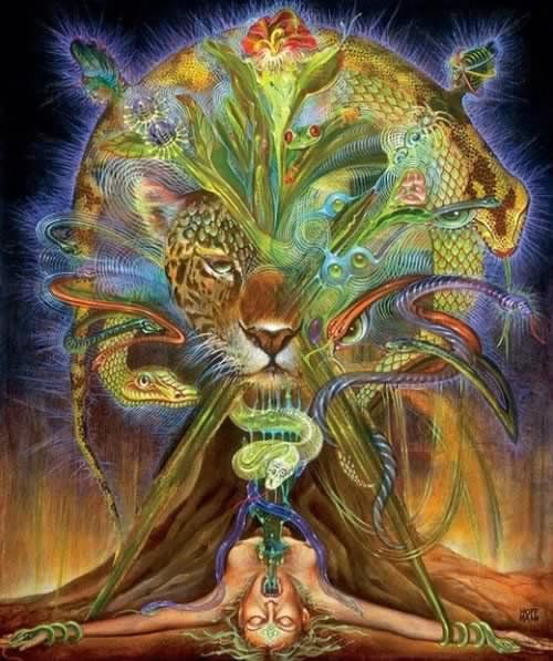 Chakra Balancing for You & and An Animal Friend