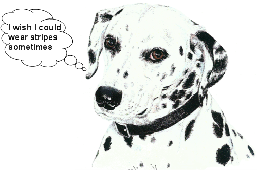 Animal Communication