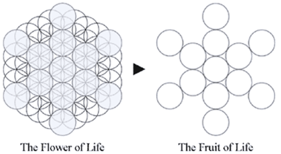 Introducing the Flower of Life