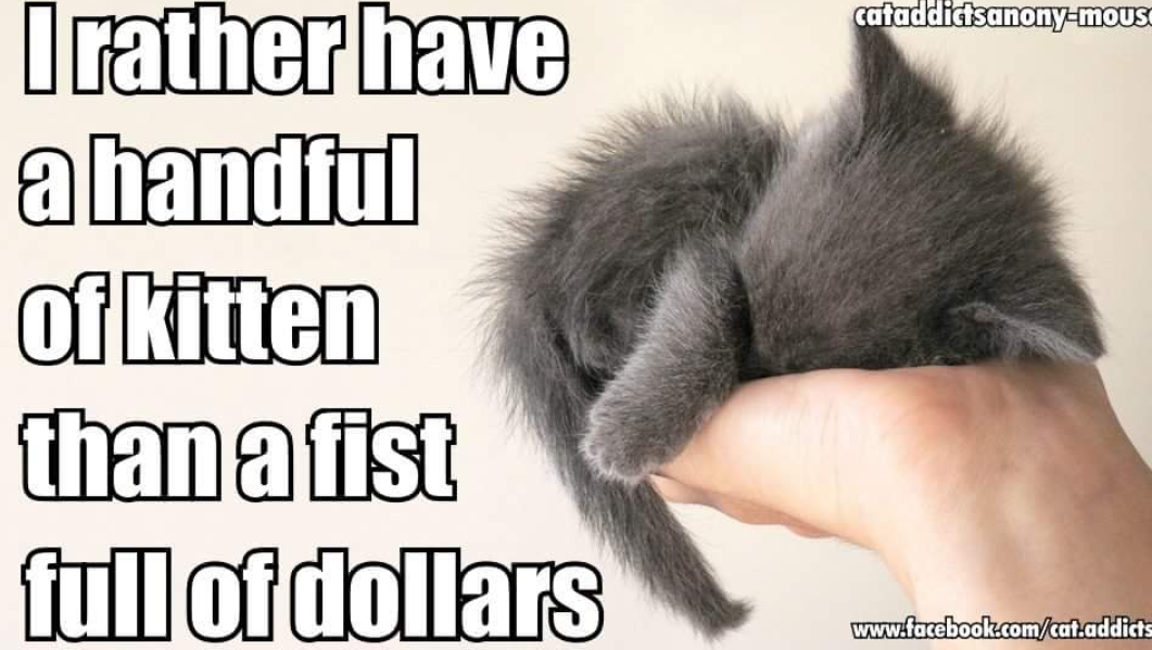 SCAT FUN(d) Raiser!
