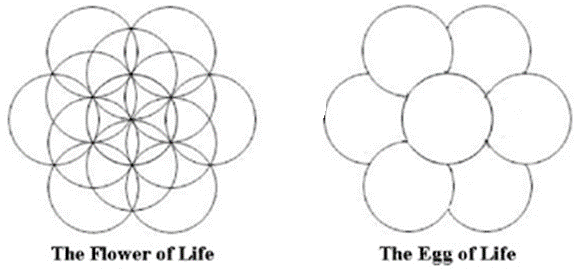Introducing the Flower of Life