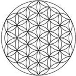 Introducing the Flower of Life